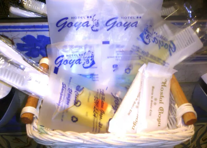 Hotel Goya Seville